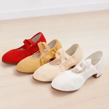 Low-Toc Pantofi De Balet Pentru Fete Pantofi De Dans Pentru Femei Dansează În Aer Liber, Papuci De Casă Profesor De Dans, Pantofi De Balet, Pantofi Pentru Dans