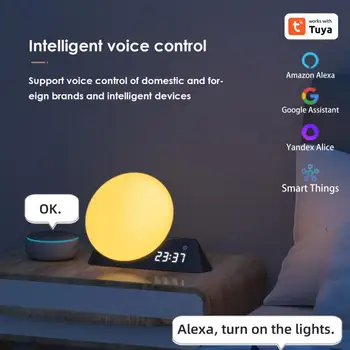 Tuya de Somn Wifi Artefact Smart Trezi Lumina Cu Ceas Deșteptător 15 Liniștitor Sunet RGBW Culoare Suport Alexa Acasă