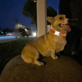 1 BUC Pet Tracker GPS Guler GPS Câini Pisici de Urmărire Anti-a Pierdut Dispozitivul în Timp Real de Urmărire de Localizare Cu LED-uri de Lumină Gulere pentru animale de Companie