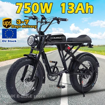 UE Depozit de Biciclete Electrice pentru Adulți 750W 20Inch Grăsime Anvelope de Zăpadă EBike 48V 13Ah Baterie Detașabilă de Biciclete 7-Viteza Plaja E-bike