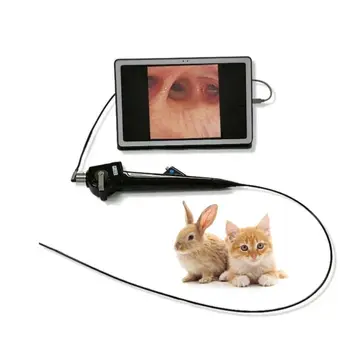 Preț scăzut Multifuncțional video Veterinar ENT endoscop pentru animale de Companie Bronhoscopie