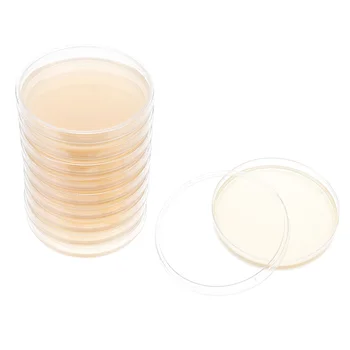 10 Buc Placa De Agar Nutritiv Pre-Turnat Plăci De Sticlă Paie Culturi De Țesuturi Petri Laboratoare